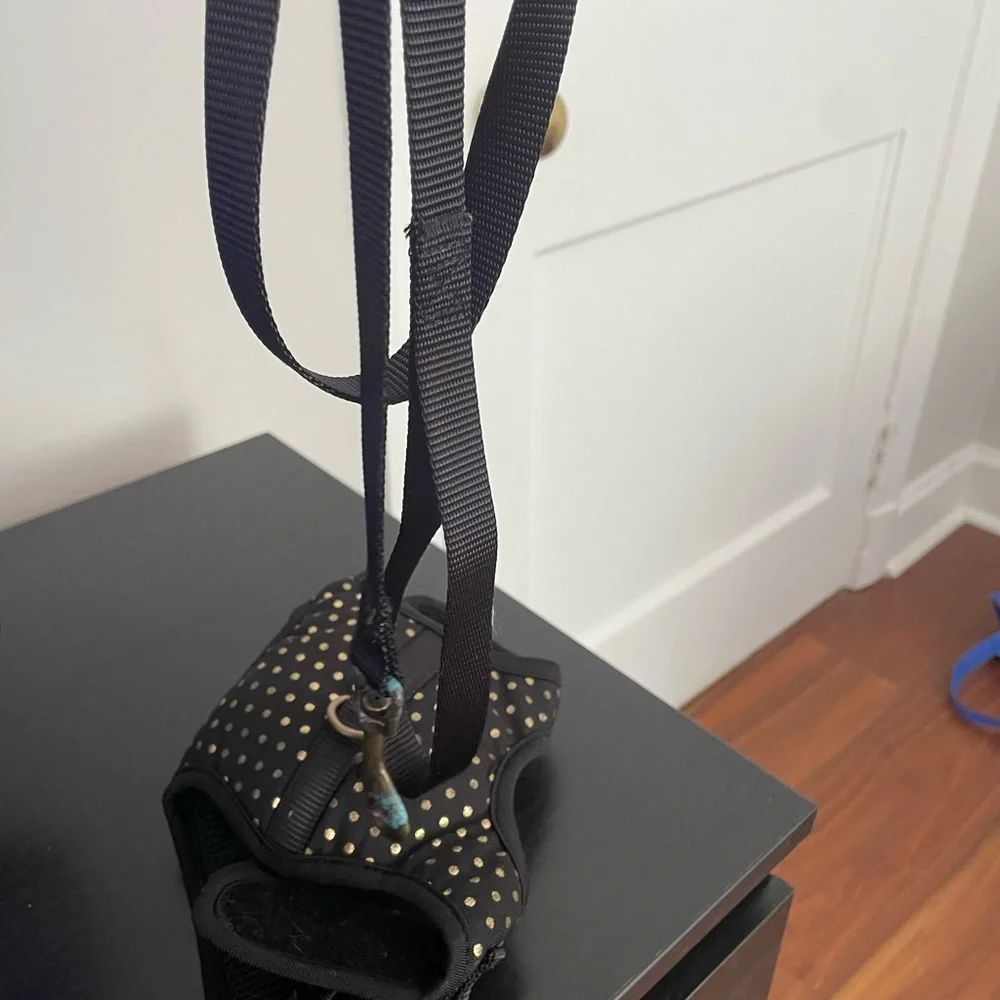 Kitten Harness and Leash Set